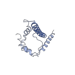 23233_7l8g_B_v1-1
BG505 SOSIP.v5.2(7S) in complex with the polyclonal Fab pAbC-3 from animal Rh.33172 (Wk38 time point)