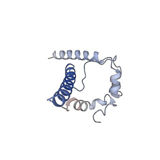 23233_7l8g_D_v1-1
BG505 SOSIP.v5.2(7S) in complex with the polyclonal Fab pAbC-3 from animal Rh.33172 (Wk38 time point)
