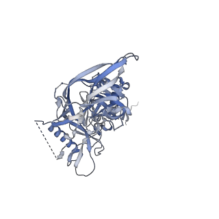23235_7l8s_A_v1-1
BG505 SOSIP.v5.2(7S) in complex with the polyclonal Fab pAbC-4 from animal Rh.33172 (Wk38 time point)
