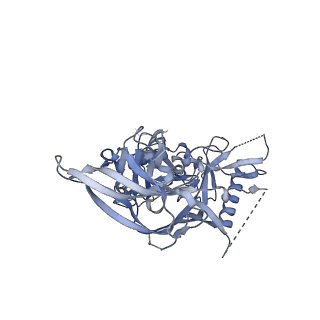 23235_7l8s_C_v1-1
BG505 SOSIP.v5.2(7S) in complex with the polyclonal Fab pAbC-4 from animal Rh.33172 (Wk38 time point)