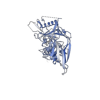 23235_7l8s_E_v1-1
BG505 SOSIP.v5.2(7S) in complex with the polyclonal Fab pAbC-4 from animal Rh.33172 (Wk38 time point)