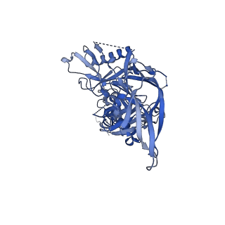 23236_7l8t_E_v1-1
BG505 SOSIP.v5.2 N241/N289 in complex with the polyclonal Fab pAbC-1 from animal Rh.33311 (Wk26 time point)