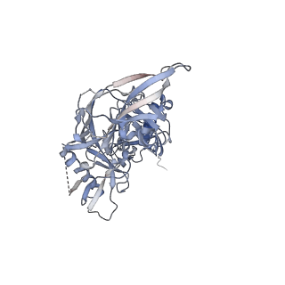 23237_7l8u_A_v1-1
BG505 SOSIP.v5.2 N241/N289 in complex with the polyclonal Fab pAbC-2 from animal Rh.33311 (Wk26 time point)