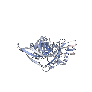 23237_7l8u_C_v1-1
BG505 SOSIP.v5.2 N241/N289 in complex with the polyclonal Fab pAbC-2 from animal Rh.33311 (Wk26 time point)