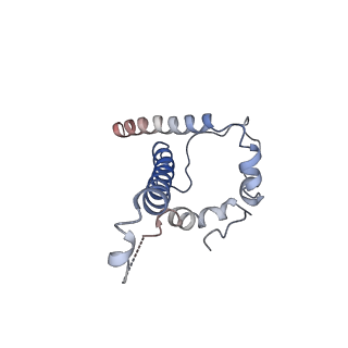 23237_7l8u_D_v1-1
BG505 SOSIP.v5.2 N241/N289 in complex with the polyclonal Fab pAbC-2 from animal Rh.33311 (Wk26 time point)