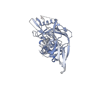 23237_7l8u_E_v1-1
BG505 SOSIP.v5.2 N241/N289 in complex with the polyclonal Fab pAbC-2 from animal Rh.33311 (Wk26 time point)