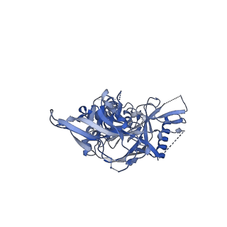 23238_7l8w_A_v1-1
BG505 SOSIP.v5.2 N241/N289 in complex with the polyclonal Fab pAbC-3 from animal Rh.33311 (Wk26 time point)