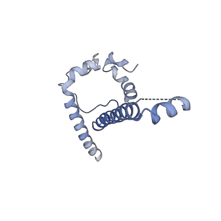 23238_7l8w_F_v1-1
BG505 SOSIP.v5.2 N241/N289 in complex with the polyclonal Fab pAbC-3 from animal Rh.33311 (Wk26 time point)