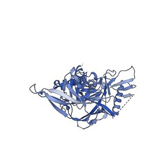 23239_7l8x_A_v1-1
BG505 SOSIP.v5.2 N241/N289 in complex with the polyclonal Fab pAbC-4 from animal Rh.33311 (Wk26 time point)