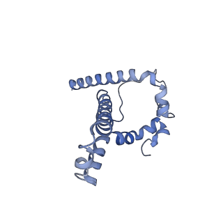 23239_7l8x_B_v1-1
BG505 SOSIP.v5.2 N241/N289 in complex with the polyclonal Fab pAbC-4 from animal Rh.33311 (Wk26 time point)