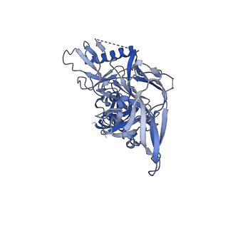 23239_7l8x_C_v1-1
BG505 SOSIP.v5.2 N241/N289 in complex with the polyclonal Fab pAbC-4 from animal Rh.33311 (Wk26 time point)