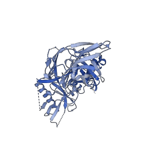 23239_7l8x_E_v1-1
BG505 SOSIP.v5.2 N241/N289 in complex with the polyclonal Fab pAbC-4 from animal Rh.33311 (Wk26 time point)