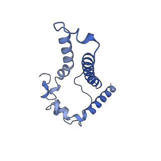 23239_7l8x_F_v1-1
BG505 SOSIP.v5.2 N241/N289 in complex with the polyclonal Fab pAbC-4 from animal Rh.33311 (Wk26 time point)