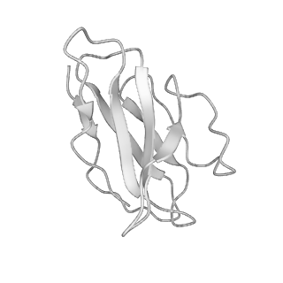 23239_7l8x_L_v1-1
BG505 SOSIP.v5.2 N241/N289 in complex with the polyclonal Fab pAbC-4 from animal Rh.33311 (Wk26 time point)
