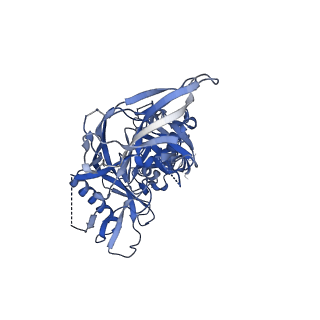 23240_7l8y_A_v1-1
BG505 SOSIP.v5.2 N241/N289 in complex with the polyclonal Fab pAbC-5 from animal Rh.33311 (Wk26 time point)