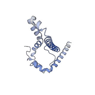 23240_7l8y_B_v1-1
BG505 SOSIP.v5.2 N241/N289 in complex with the polyclonal Fab pAbC-5 from animal Rh.33311 (Wk26 time point)