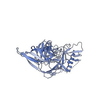 23240_7l8y_C_v1-1
BG505 SOSIP.v5.2 N241/N289 in complex with the polyclonal Fab pAbC-5 from animal Rh.33311 (Wk26 time point)