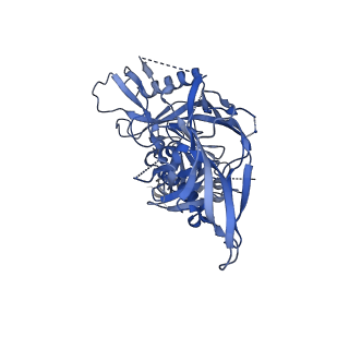 23242_7l8z_D_v1-1
BG505 SOSIP.v5.2 N241/N289 in complex with the polyclonal Fab pAbC-7 from animal Rh.33311 (Wk26 time point)
