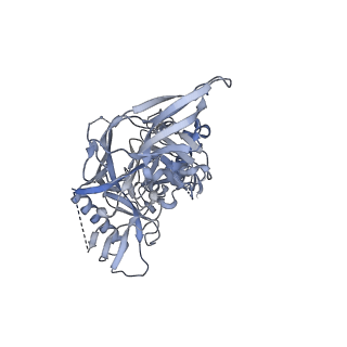 23243_7l90_C_v1-1
BG505 SOSIP.v5.2 N241/N289 in complex with the polyclonal Fab pAbC-8 from animal Rh.33311 (Wk26 time point)