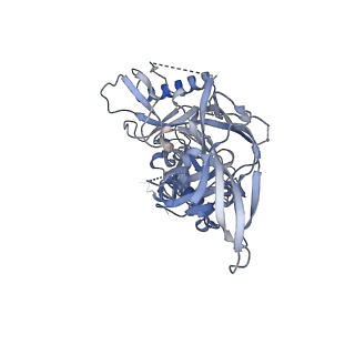 23243_7l90_E_v1-1
BG505 SOSIP.v5.2 N241/N289 in complex with the polyclonal Fab pAbC-8 from animal Rh.33311 (Wk26 time point)