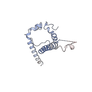 23243_7l90_F_v1-1
BG505 SOSIP.v5.2 N241/N289 in complex with the polyclonal Fab pAbC-8 from animal Rh.33311 (Wk26 time point)