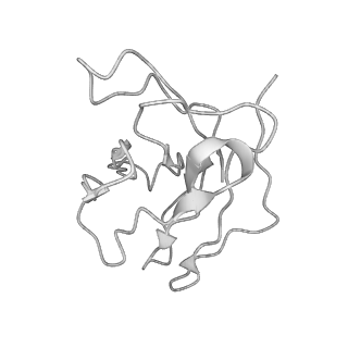 23243_7l90_H_v1-1
BG505 SOSIP.v5.2 N241/N289 in complex with the polyclonal Fab pAbC-8 from animal Rh.33311 (Wk26 time point)