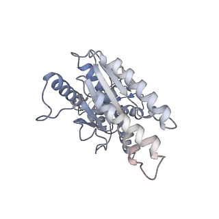 23244_7l9p_A_v1-0
Structure of human SHLD2-SHLD3-REV7-TRIP13(E253Q) complex