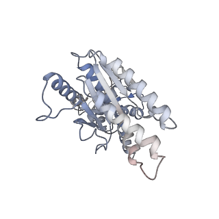 23244_7l9p_A_v1-1
Structure of human SHLD2-SHLD3-REV7-TRIP13(E253Q) complex