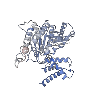 23244_7l9p_B_v1-0
Structure of human SHLD2-SHLD3-REV7-TRIP13(E253Q) complex
