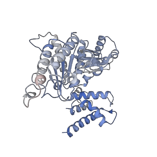 23244_7l9p_B_v1-1
Structure of human SHLD2-SHLD3-REV7-TRIP13(E253Q) complex