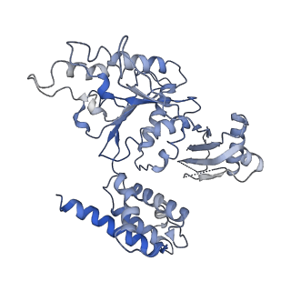 23244_7l9p_C_v1-0
Structure of human SHLD2-SHLD3-REV7-TRIP13(E253Q) complex