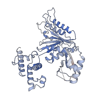 23244_7l9p_D_v1-0
Structure of human SHLD2-SHLD3-REV7-TRIP13(E253Q) complex