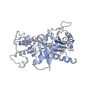 23244_7l9p_E_v1-0
Structure of human SHLD2-SHLD3-REV7-TRIP13(E253Q) complex