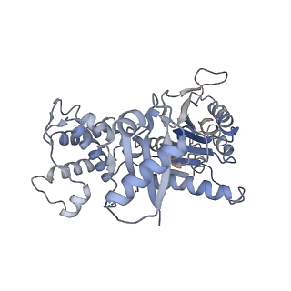 23244_7l9p_E_v1-1
Structure of human SHLD2-SHLD3-REV7-TRIP13(E253Q) complex