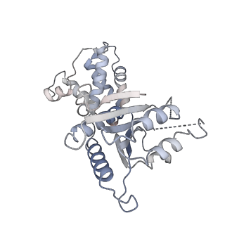 23244_7l9p_F_v1-0
Structure of human SHLD2-SHLD3-REV7-TRIP13(E253Q) complex
