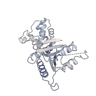 23244_7l9p_F_v1-1
Structure of human SHLD2-SHLD3-REV7-TRIP13(E253Q) complex