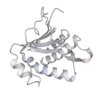23244_7l9p_G_v1-0
Structure of human SHLD2-SHLD3-REV7-TRIP13(E253Q) complex