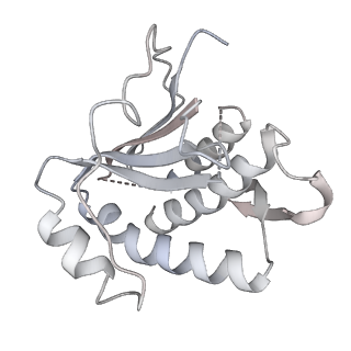 23244_7l9p_G_v1-1
Structure of human SHLD2-SHLD3-REV7-TRIP13(E253Q) complex