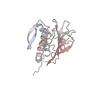 23244_7l9p_I_v1-0
Structure of human SHLD2-SHLD3-REV7-TRIP13(E253Q) complex