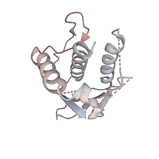 23244_7l9p_J_v1-0
Structure of human SHLD2-SHLD3-REV7-TRIP13(E253Q) complex
