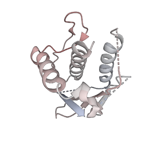 23244_7l9p_J_v1-1
Structure of human SHLD2-SHLD3-REV7-TRIP13(E253Q) complex