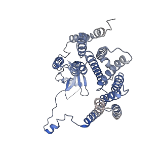 0862_6lar_B_v1-1
Structure of ESX-3 complex