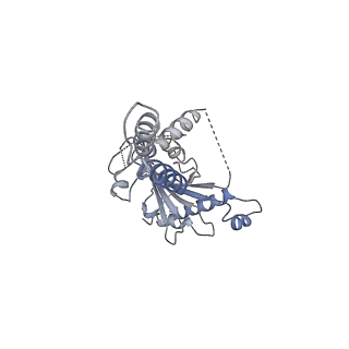 0862_6lar_D_v1-1
Structure of ESX-3 complex