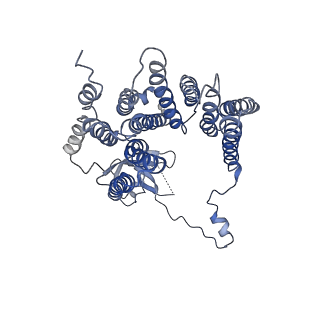 0862_6lar_E_v1-1
Structure of ESX-3 complex