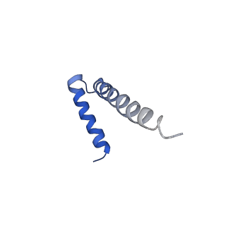 0862_6lar_I_v1-1
Structure of ESX-3 complex