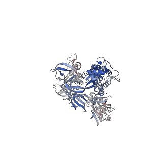 23246_7laa_A_v1-4
Structure of SARS-CoV-2 S protein in complex with Receptor Binding Domain antibody DH1041