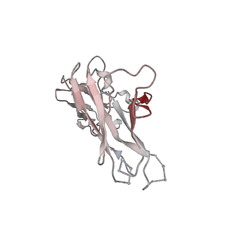 23246_7laa_L_v1-4
Structure of SARS-CoV-2 S protein in complex with Receptor Binding Domain antibody DH1041