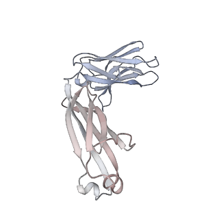 23248_7lab_L_v1-1
Structure of SARS-CoV-2 S protein in complex with N-terminal domain antibody DH1052
