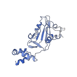 23249_7lar_A_v1-1
Cryo-EM structure of PCV2 Replicase bound to ssDNA