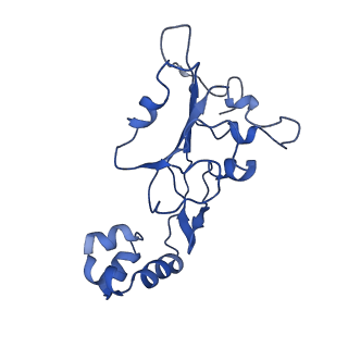 23249_7lar_B_v1-1
Cryo-EM structure of PCV2 Replicase bound to ssDNA